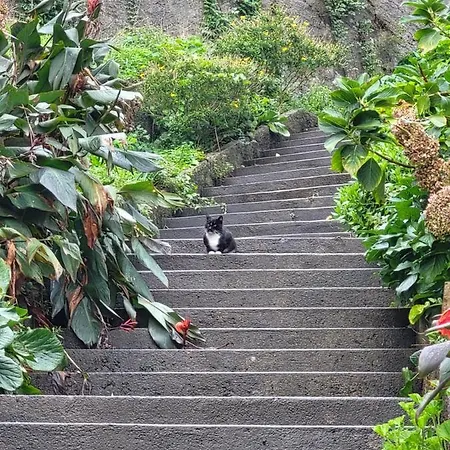 Free Spirit * Vale do Torno