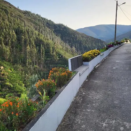 Nyaraló Free Spirit