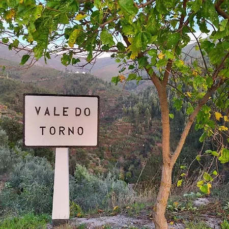 Free Spirit Nyaraló