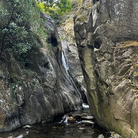 Free Spirit * Vale do Torno