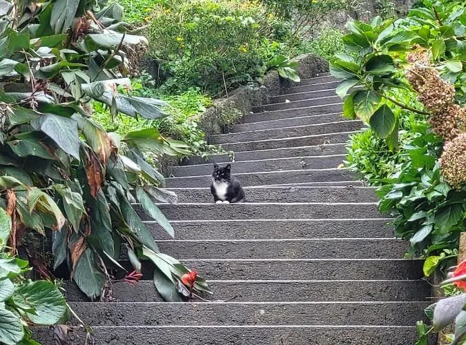 Free Spirit * Vale do Torno