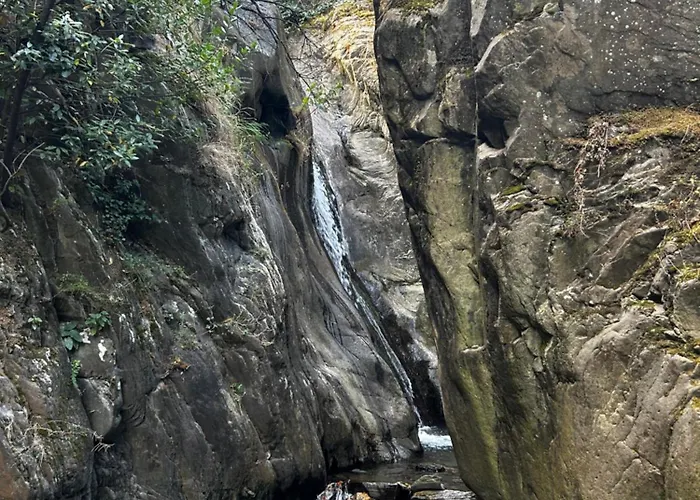 Free Spirit * Vale do Torno